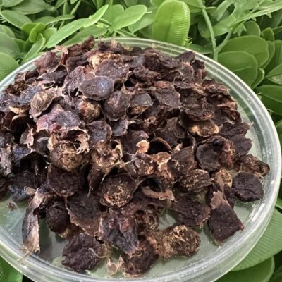 Hypoallergenic Kangaroo Training Treats (Superfoods)