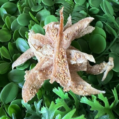 A Grade Chicken Fenugreek Seeds Jerky (Superfood)  (Dogs Only) (Orders Only)