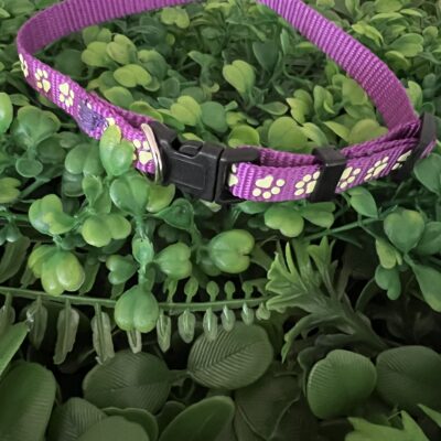 Glow In The Dark Paw Print 🐾 Collar Size Small