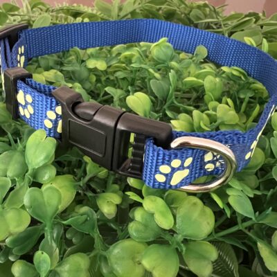 Glow In The Dark Paw Print 🐾 Collar Size Medium