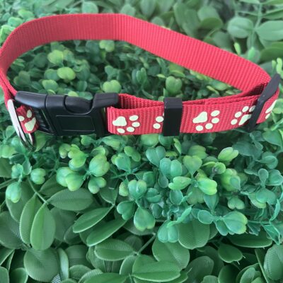 Glow In The Dark Paw Print 🐾 Collar Size Large