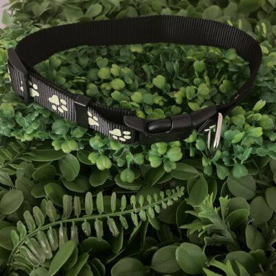 Glow In The Dark Paw Print 🐾 Collar Size XLarge