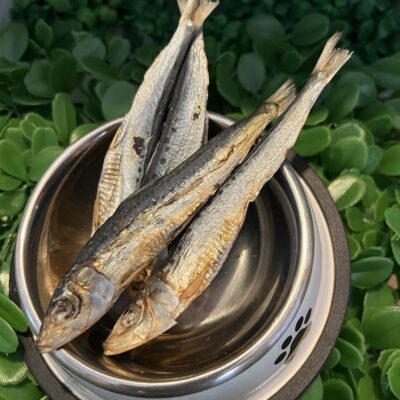 (Port Lincoln) Premium Sardines Topper or Treats (Copy)