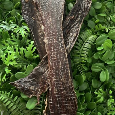 Premium Natural Kangaroo Jerky 🦘