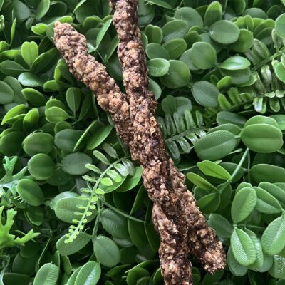 Beef Carrot Stick (Dogs & Cats)